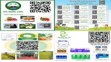 mã qr nhà cung ứng tp